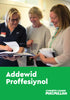 Professional Promise Bilingual English and Welsh Leaflet