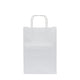 Plain medium paper bag